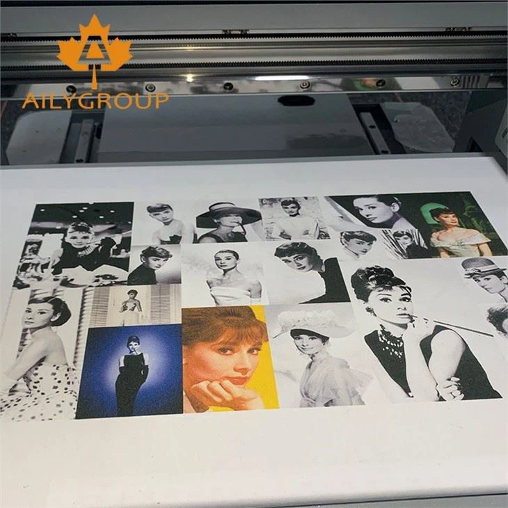 Vinyl T Shirt Printing Machine